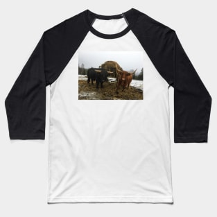 Scottish Highland Cattle Bull and Cow 2165 Baseball T-Shirt